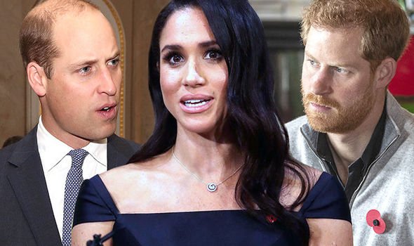 Royal Commentator Says Meghan And Harry Doing A Program On Princess Diana For Netflix Could Upset Williams - SurgeZirc France