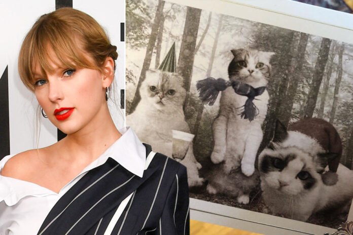Taylor Swift’s Christmas Card Is A Beautiful Cat-Themed Art Work - SurgeZirc France