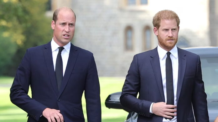 Prince William Experienced Mixed Feelings Amid Prince Harry's Invictus Games Success - SurgeZirc FR